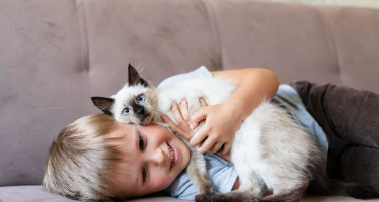 حساسية القطط والأطفال
