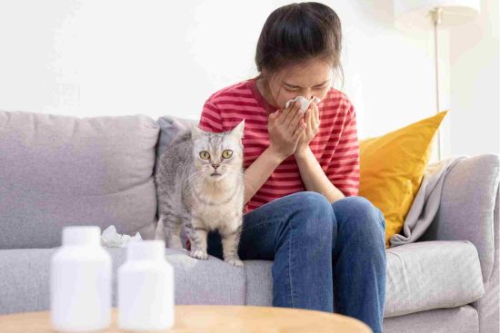 حساسية القطط: الأسباب والأعراض وكيفية العلاج